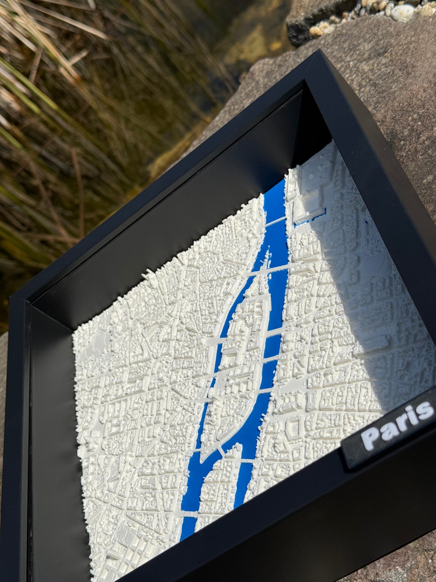 3D Obraz Paris